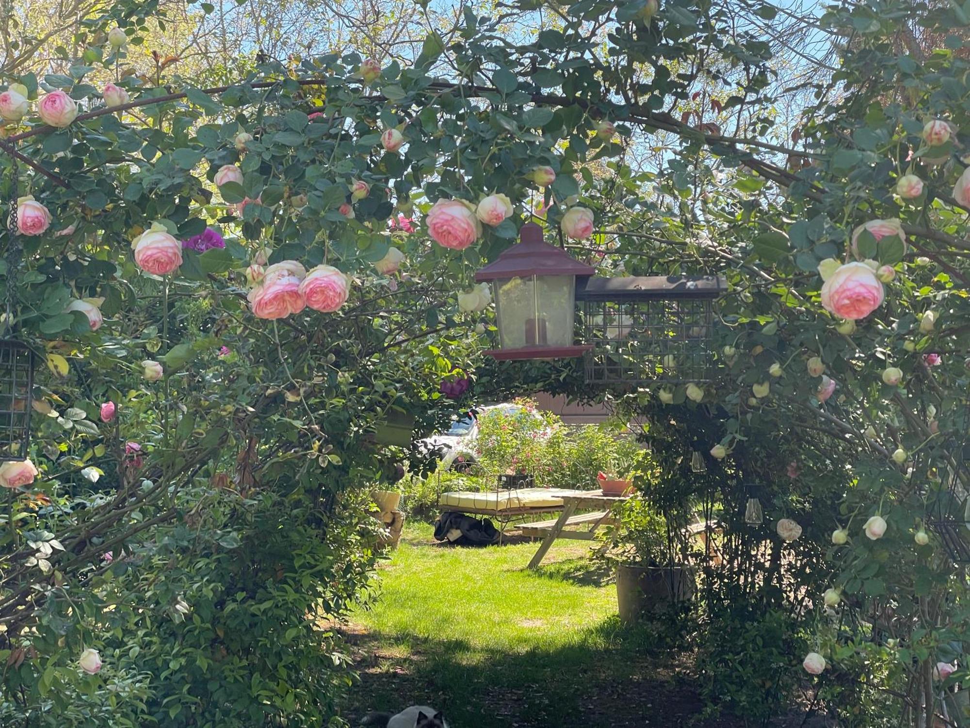Gites Le Pimayon Manosque Dış mekan fotoğraf