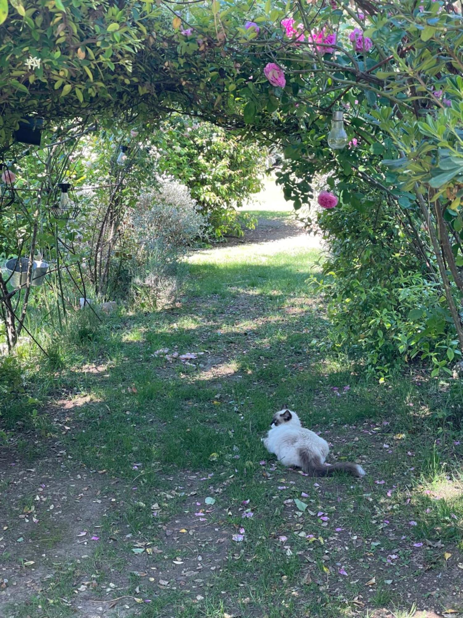 Gites Le Pimayon Manosque Dış mekan fotoğraf