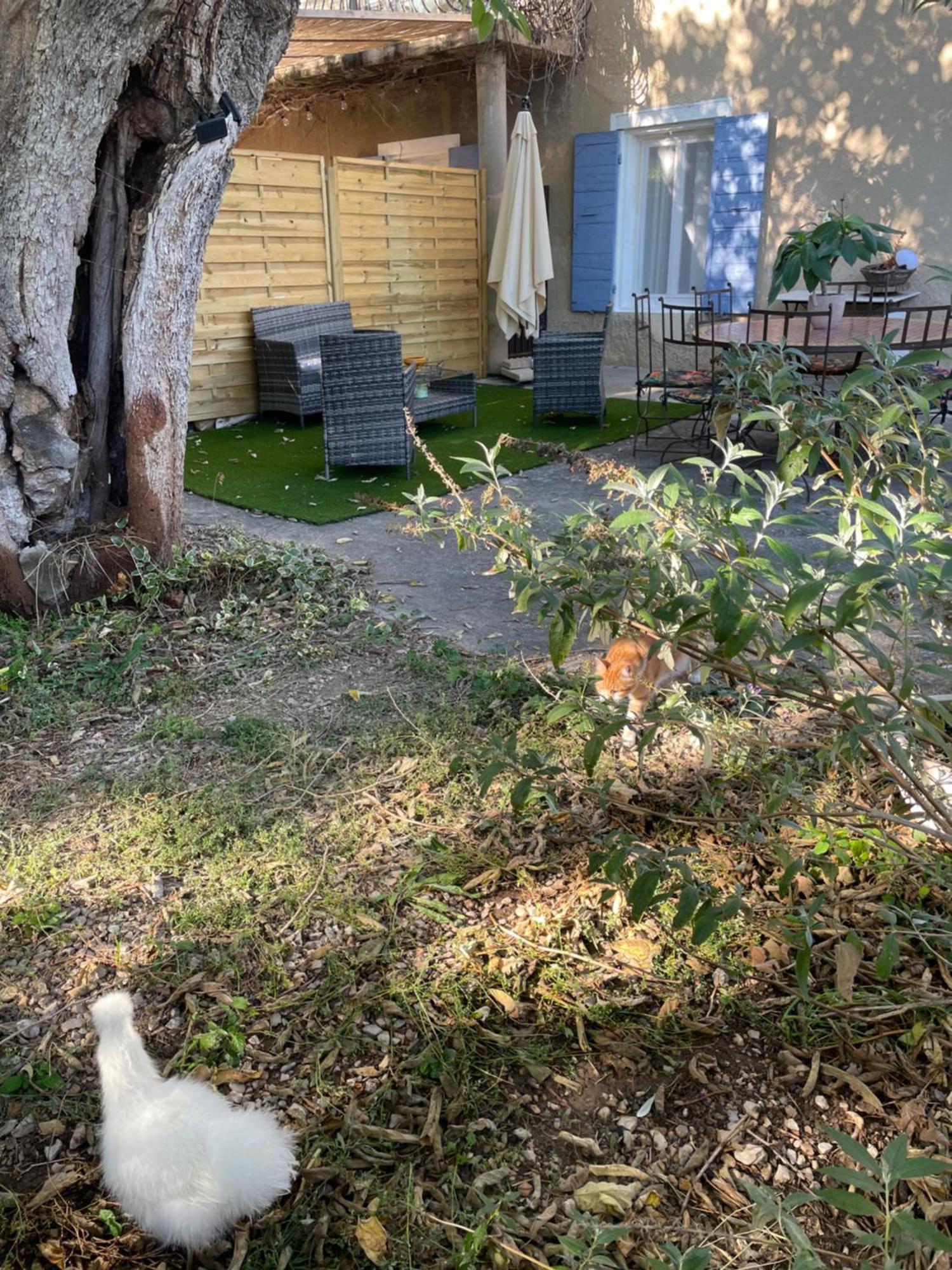 Gites Le Pimayon Manosque Dış mekan fotoğraf