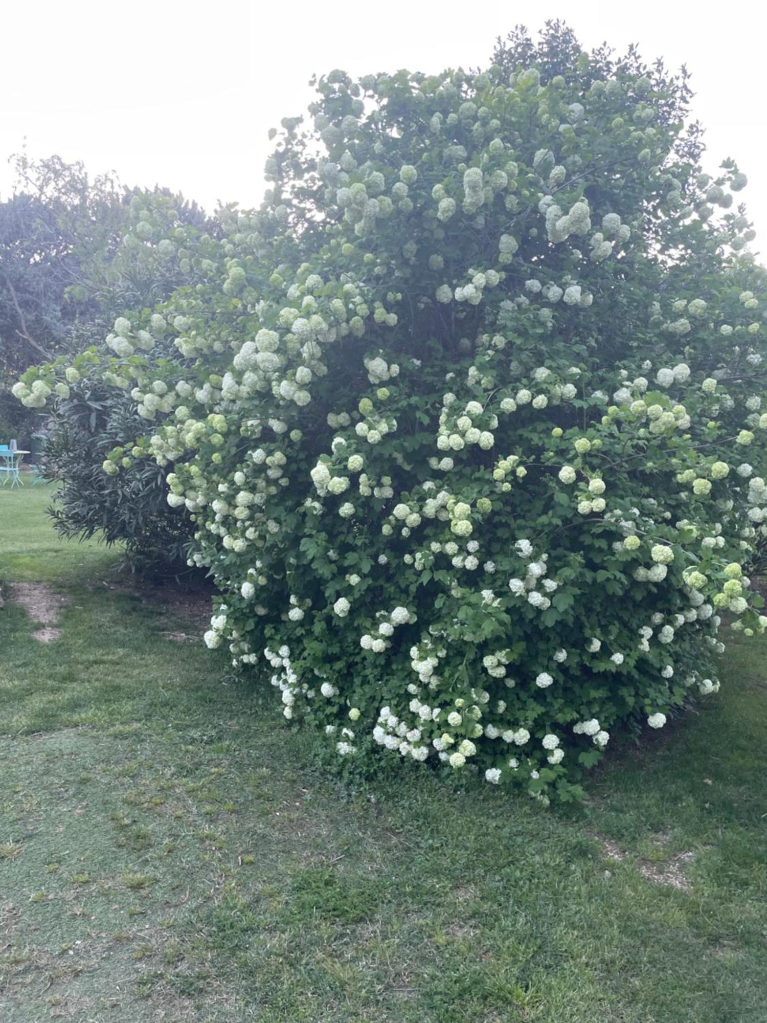 Gites Le Pimayon Manosque Dış mekan fotoğraf