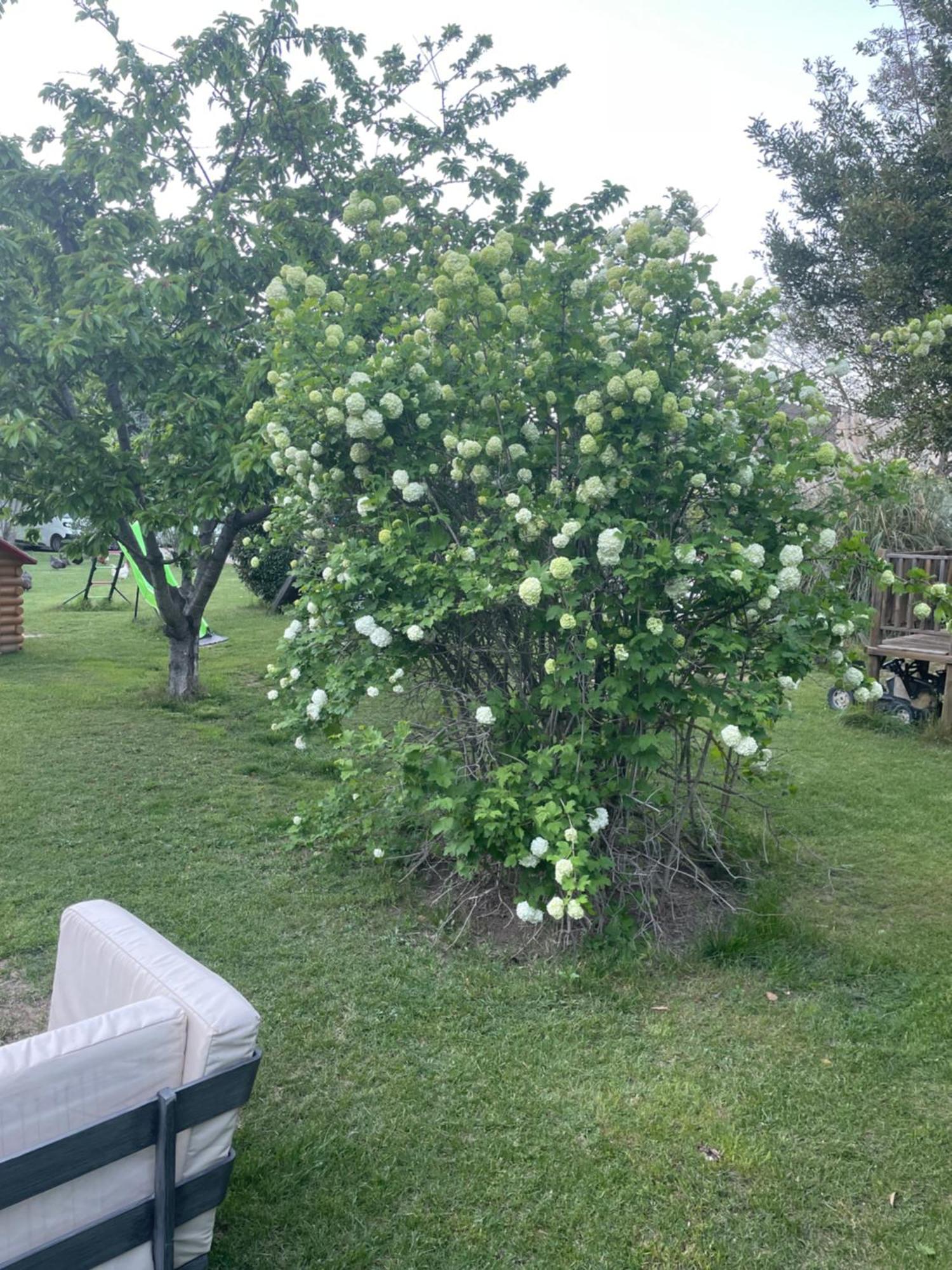 Gites Le Pimayon Manosque Dış mekan fotoğraf