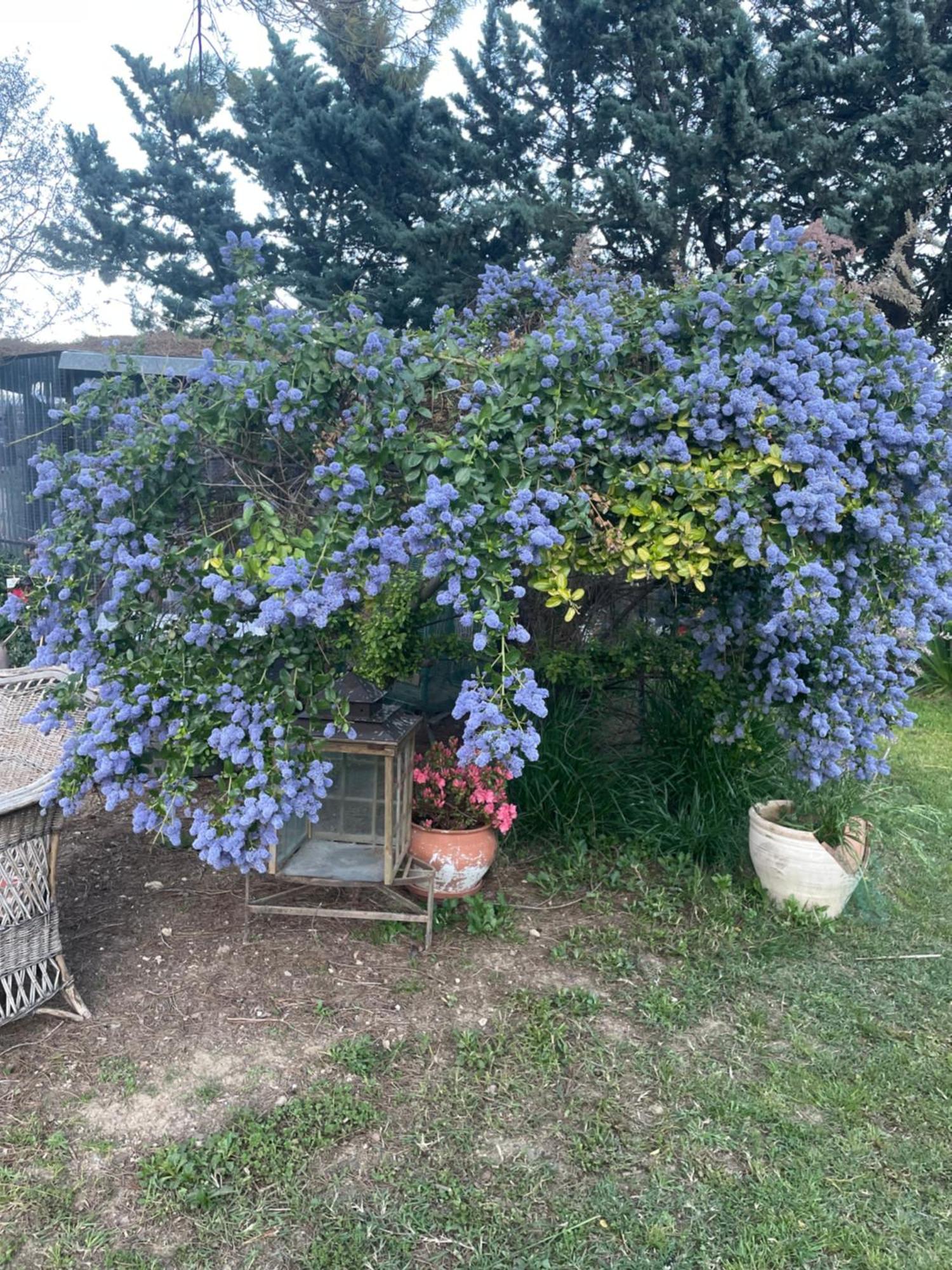 Gites Le Pimayon Manosque Dış mekan fotoğraf